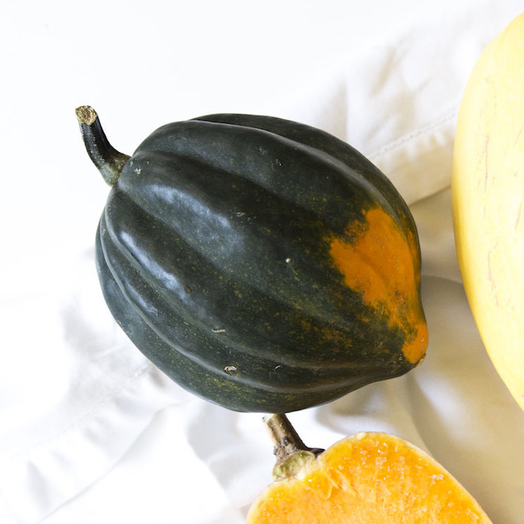 Picture of acorn squash