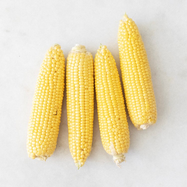 Picture of local sweet corn
