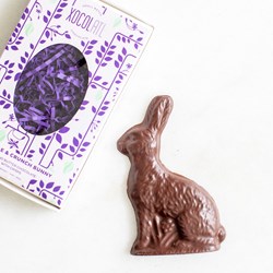 Picture of Xocolatl crackle & crunch chocolate bunny