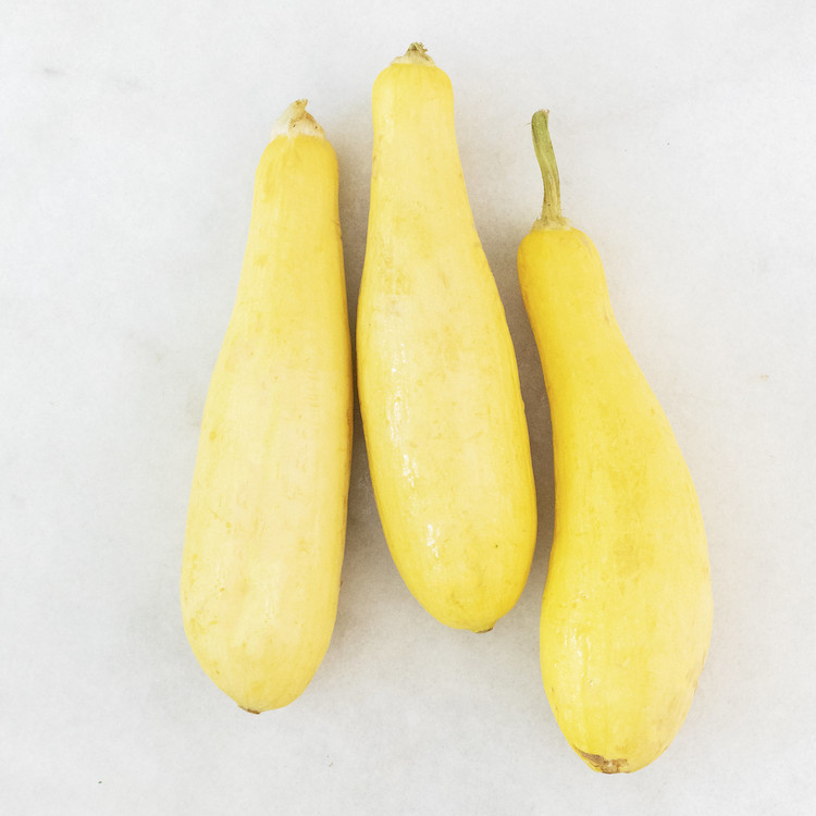 Picture of local summer squash