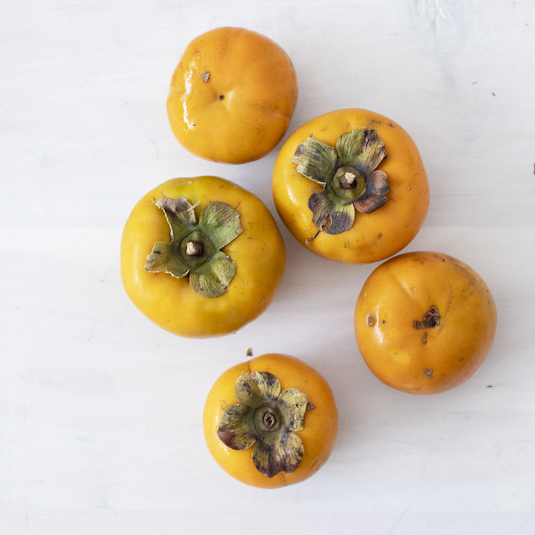 Picture of local persimmons