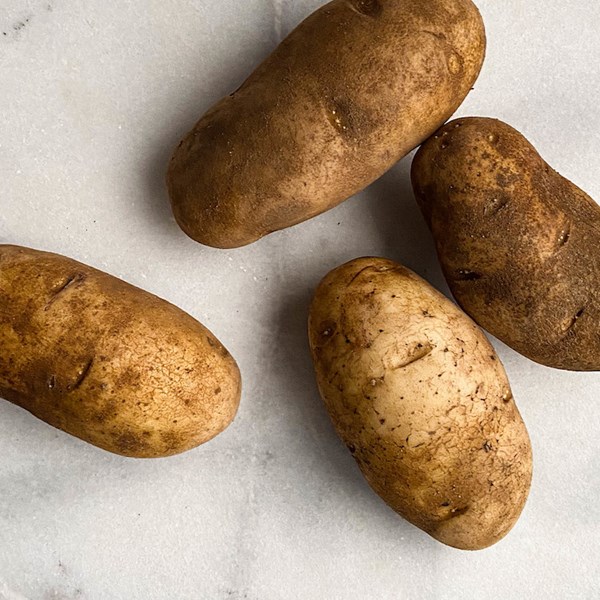 Picture of russet potatoes