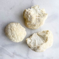 Picture of lion's mane mushrooms
