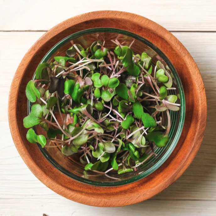 Picture of local red cabbage microgreens