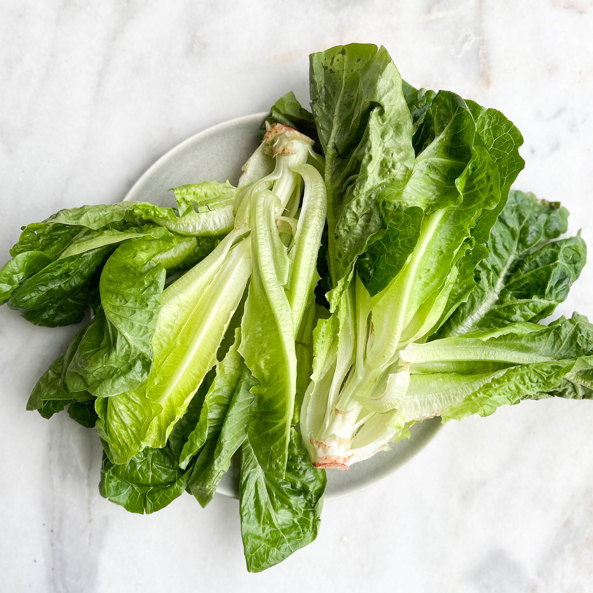 Picture of local romaine