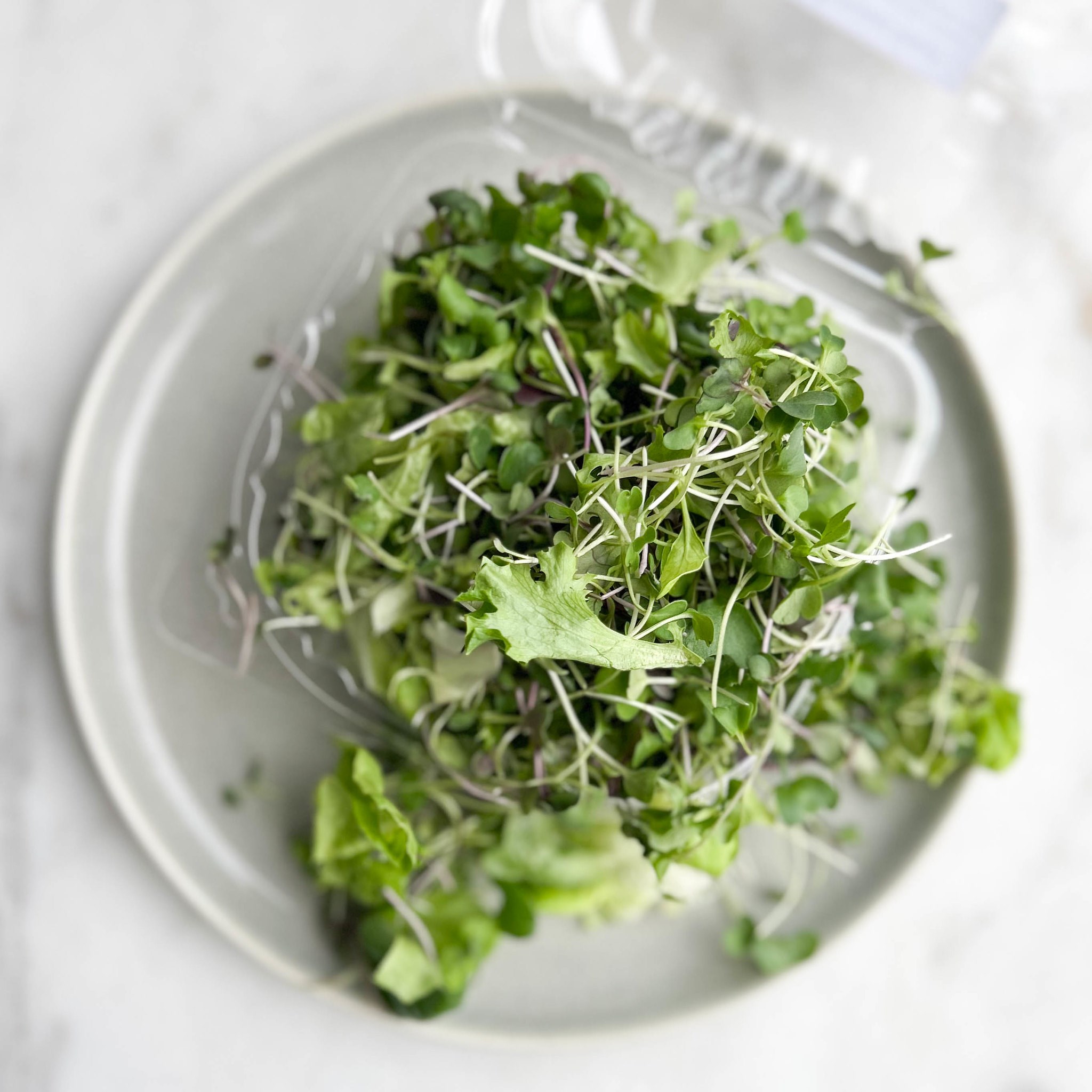 Picture of local power salad microgreens