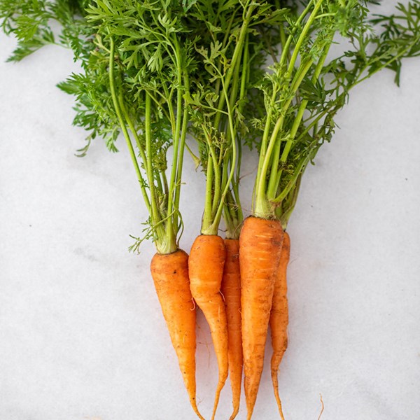 Picture of local carrots