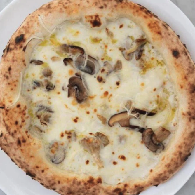 Picture of Bocado wild mushroom & vidalia onion pizza 