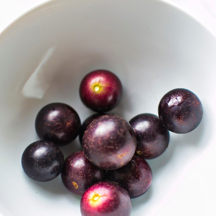 Picture of local muscadines