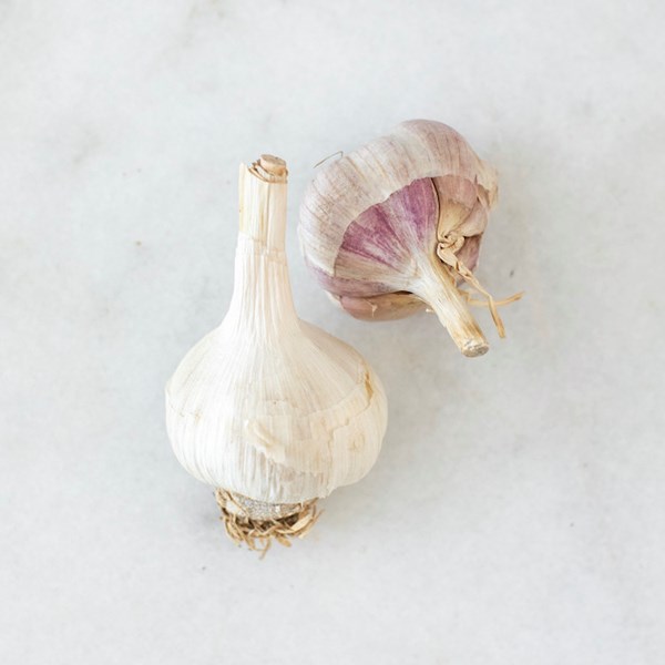 Picture of local garlic