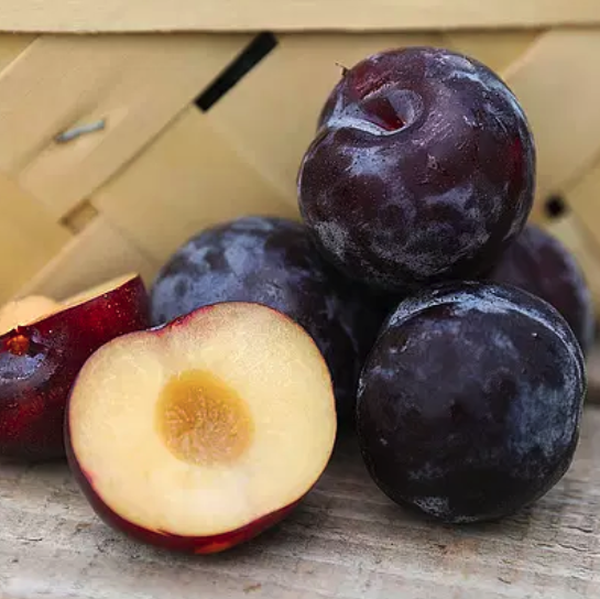 Picture of local plum