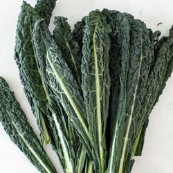 Picture of local kale
