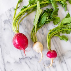 Picture of local radishes