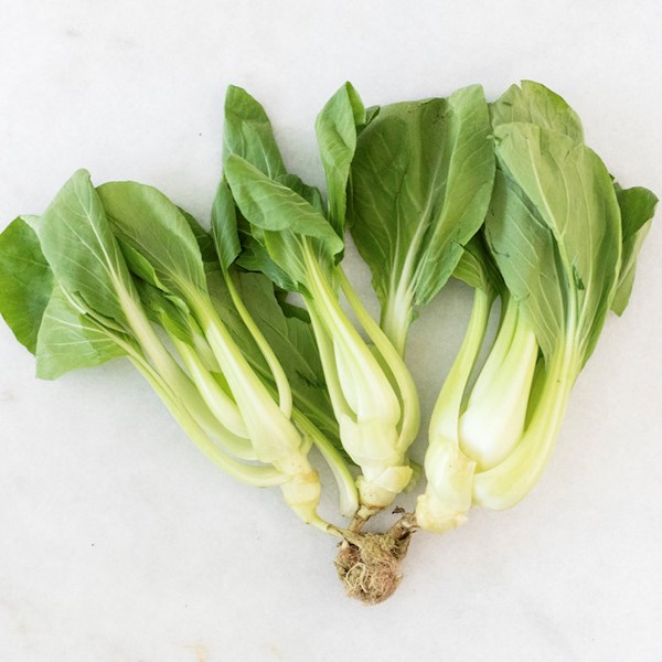 Picture of local bok choy