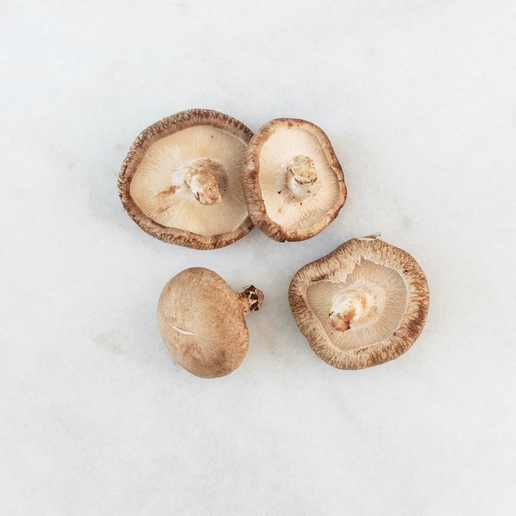 Picture of Ellijay shiitake mushrooms